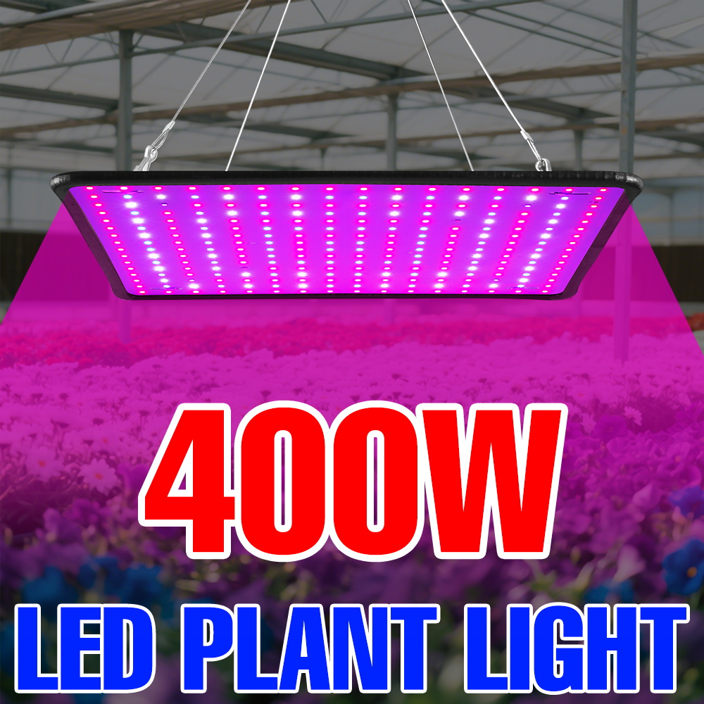 Echeveria Succulent - 400 واط LED تنمو ضوء الطيف