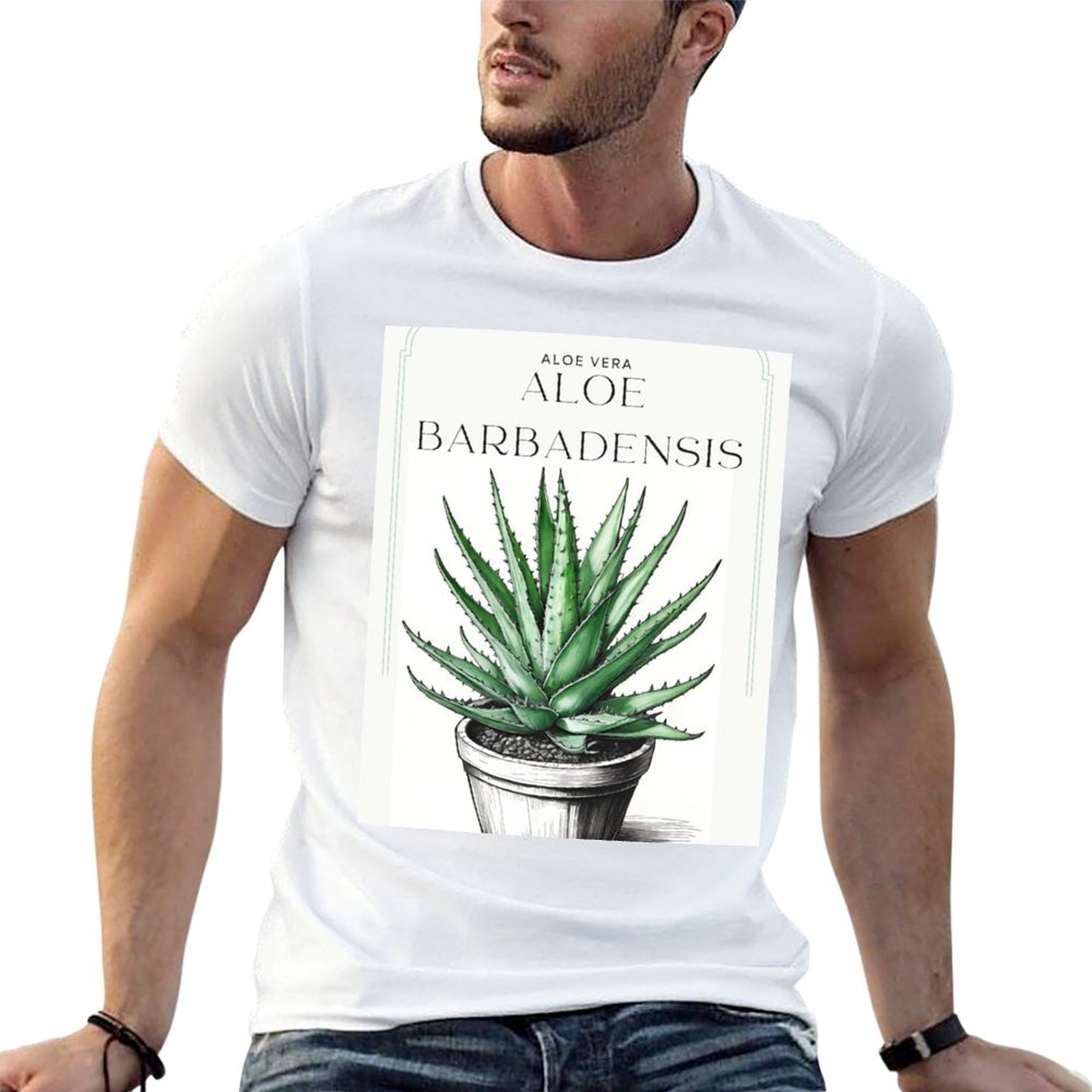Aloe Vera Pot - الصبار النباتي في وعاء بتصميم ريفي