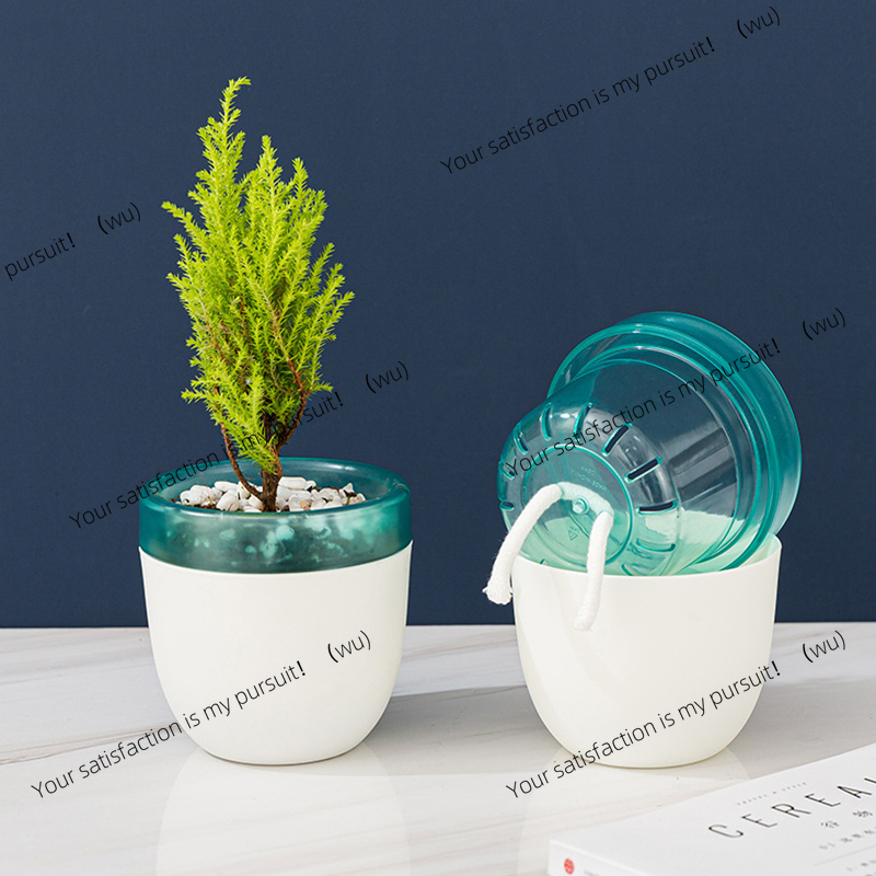 Aloe Vera Pot - أصيص زهور كسول ممتص للماء تلقائيًا،