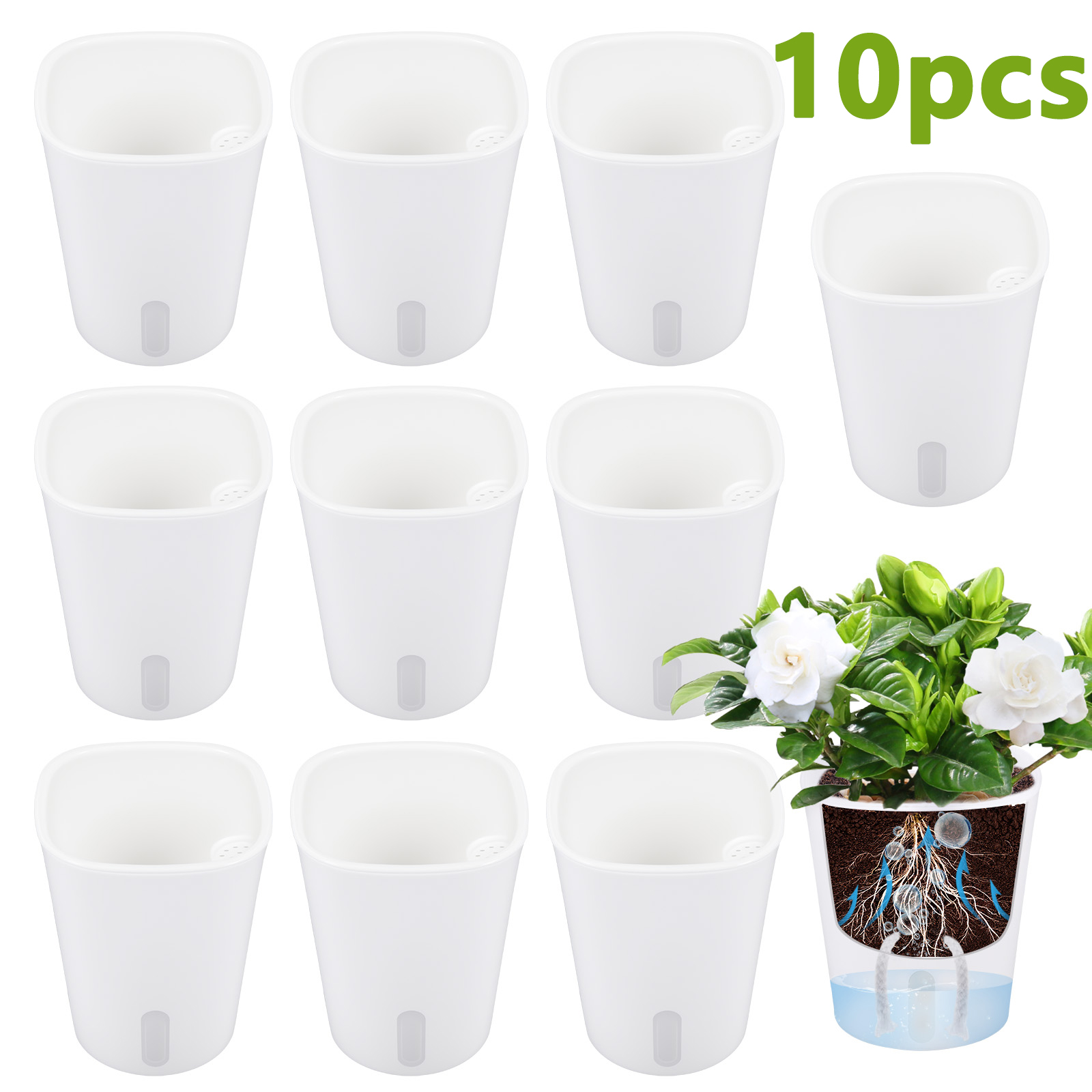 Aloe Vera Pot - 10 قطع من أواني الزهور البلاستيكية