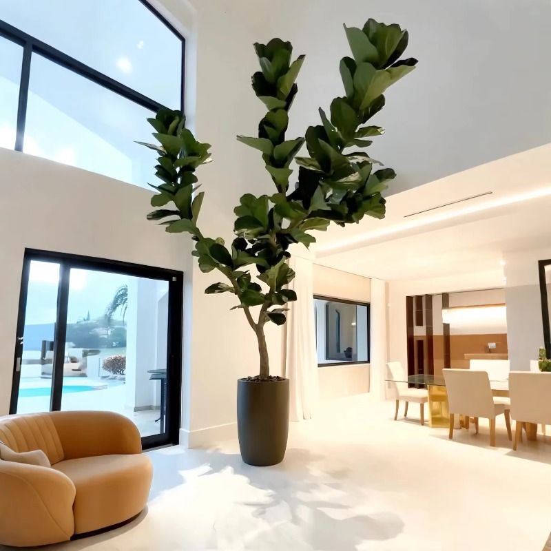 Ficus Lyrata Tree - نباتات اصطناعية نباتات بوعاء داخلي شجرة