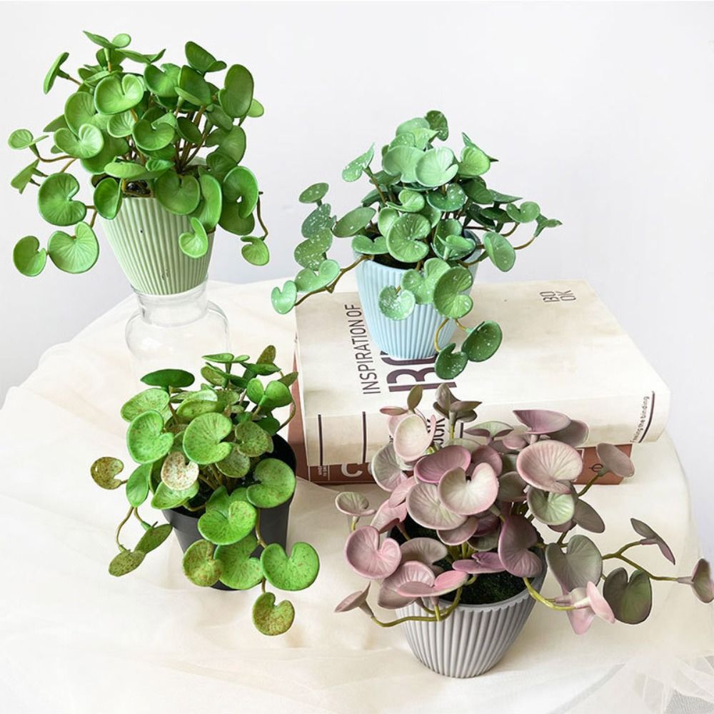 Echeveria Succulent - غراء ناعم نبات اصطناعي إيفا نباتات