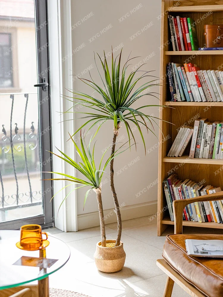 Dracaena Marginata - ضوء فاخر محاكاة النباتات الخضراء الصبار