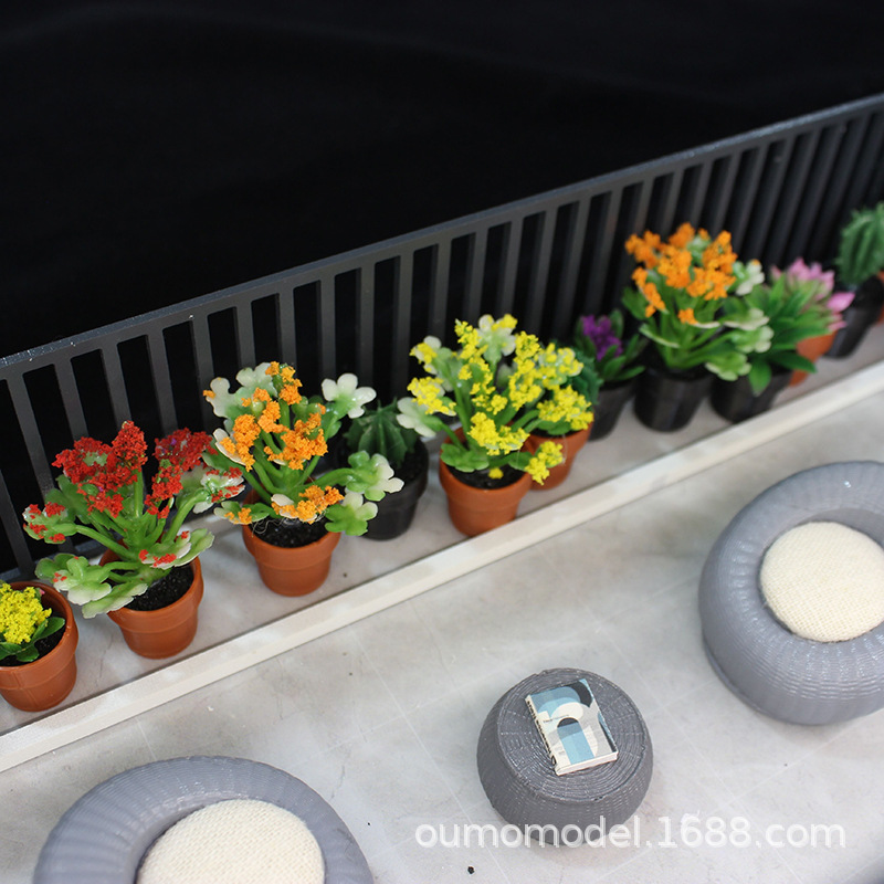 Echeveria Succulent - نباتات صغيرة مقلدة الصبار زهرة عصارية