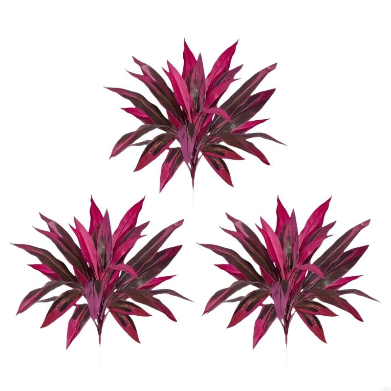 نبات Dracaena Marginata الاصطن - مراجعة Dracaena Marginata وسعره