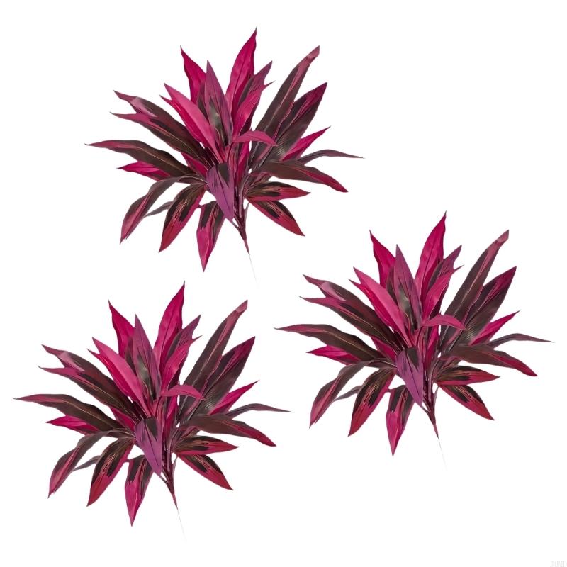 نبات Dracaena Marginata الاصطن - مراجعة Dracaena Marginata وسعره