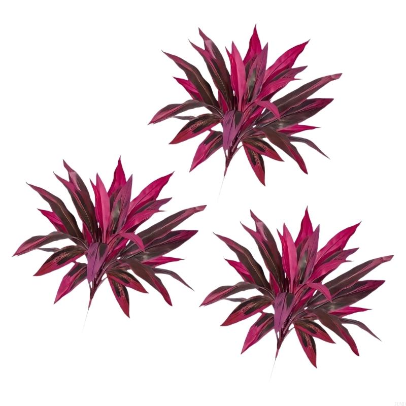 نبات Dracaena Marginata الاصطن - مراجعة Dracaena Marginata وسعره