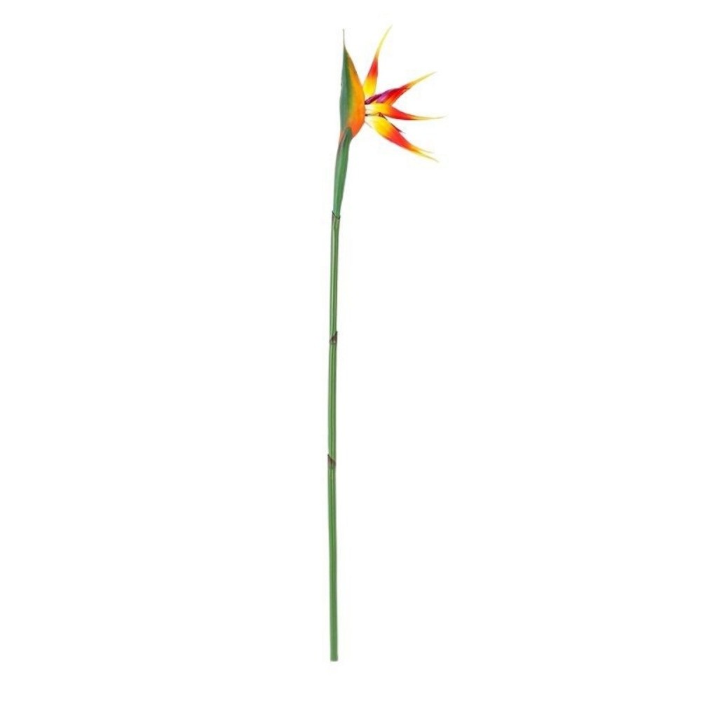 نباتات صناعية جديدة طويلة السا - مراجعة Bird Paradise Strelitzia وسعره