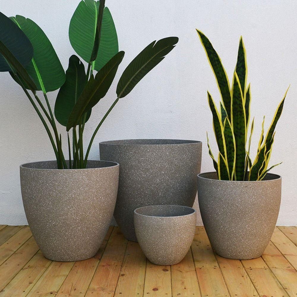 متجمد تقليد الحجر بونساي الزهر - مراجعة Aloe Vera Pot وسعره