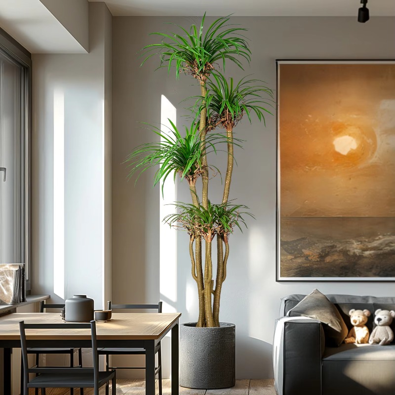 شجرة منزلية داخلية/خارجية مقلد - مراجعة Dracaena Marginata وسعره