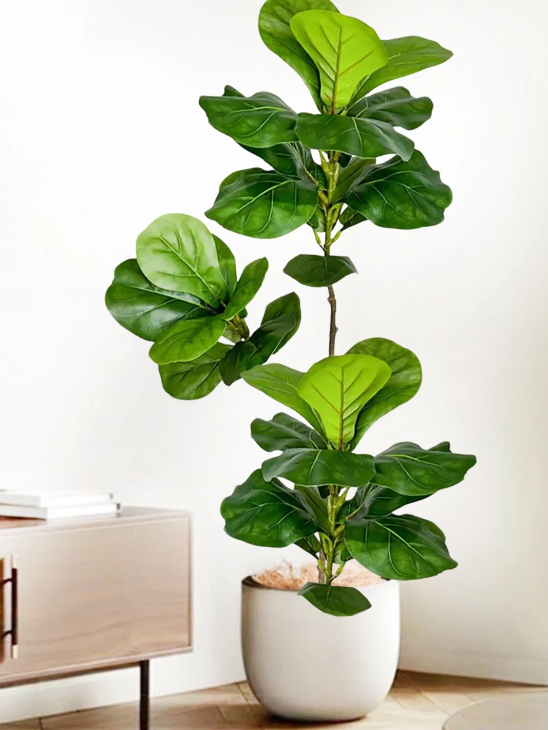 شجرة التين الاصطناعية بطول 45- - مراجعة Ficus Lyrata Tree وسعره