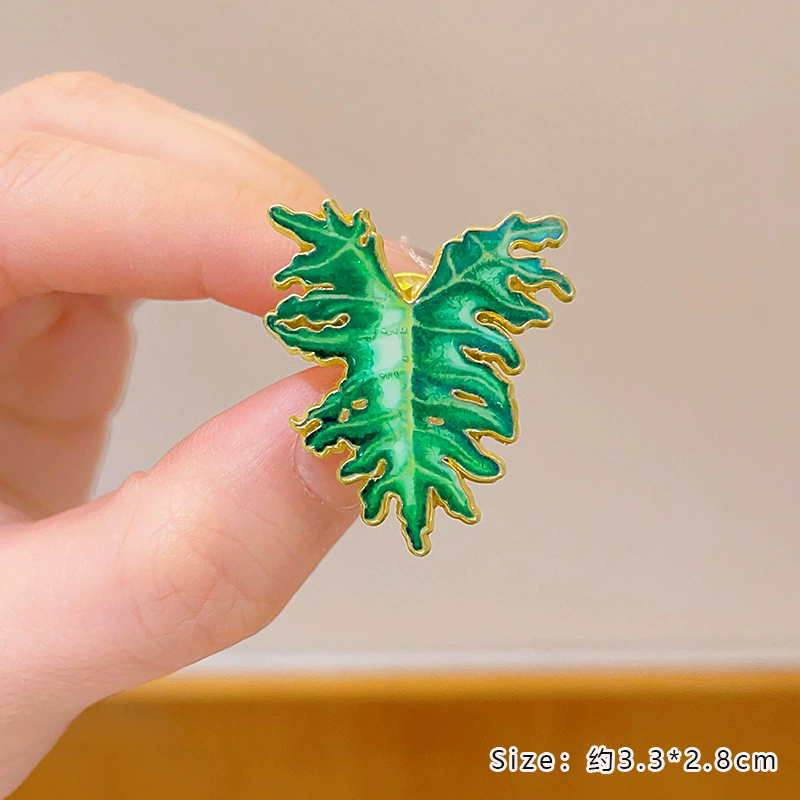 بوعاء النبات بروش Monstera الأ - مراجعة Aloe Vera Pot وسعره