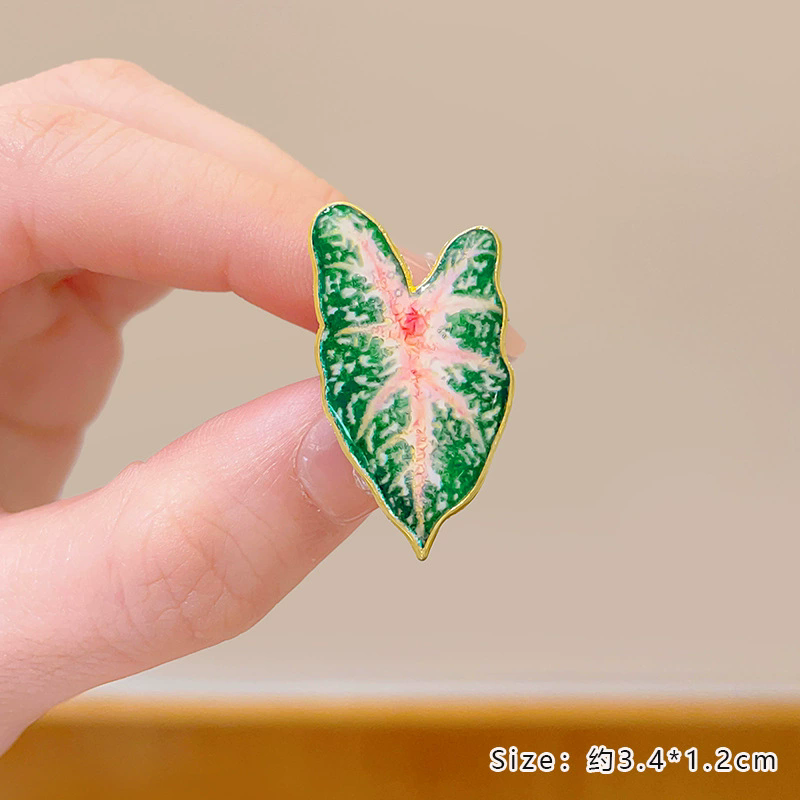 بوعاء النبات بروش Monstera الأ - مراجعة Aloe Vera Pot وسعره