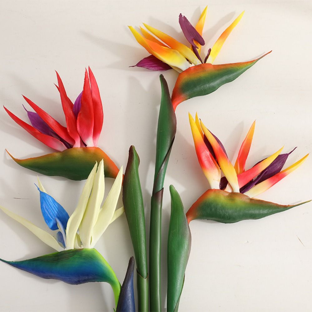 زهور طائر الجنة الاصطناعية الج - مراجعة Bird Paradise Strelitzia وسعره