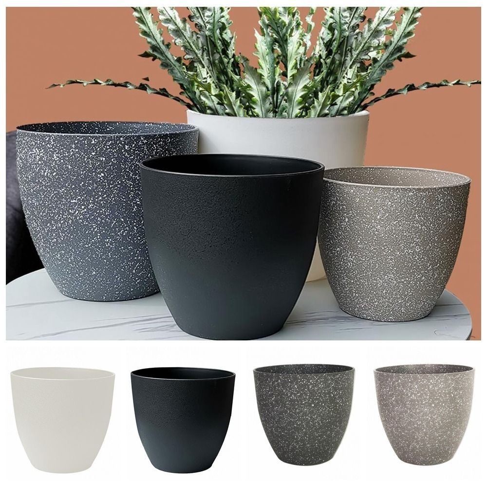 متجمد تقليد أواني الزهور الحجر - مراجعة Aloe Vera Pot وسعره