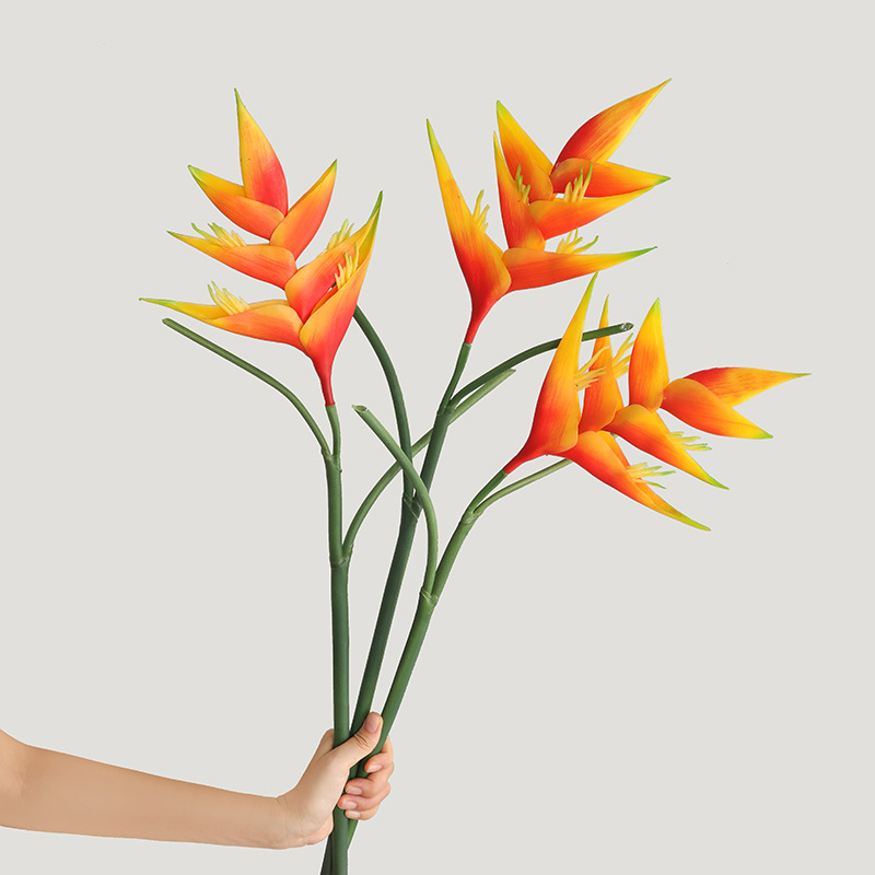 1 قطعة 85 سنتيمتر Strelitzia R - مراجعة Bird Paradise Strelitzia وسعره