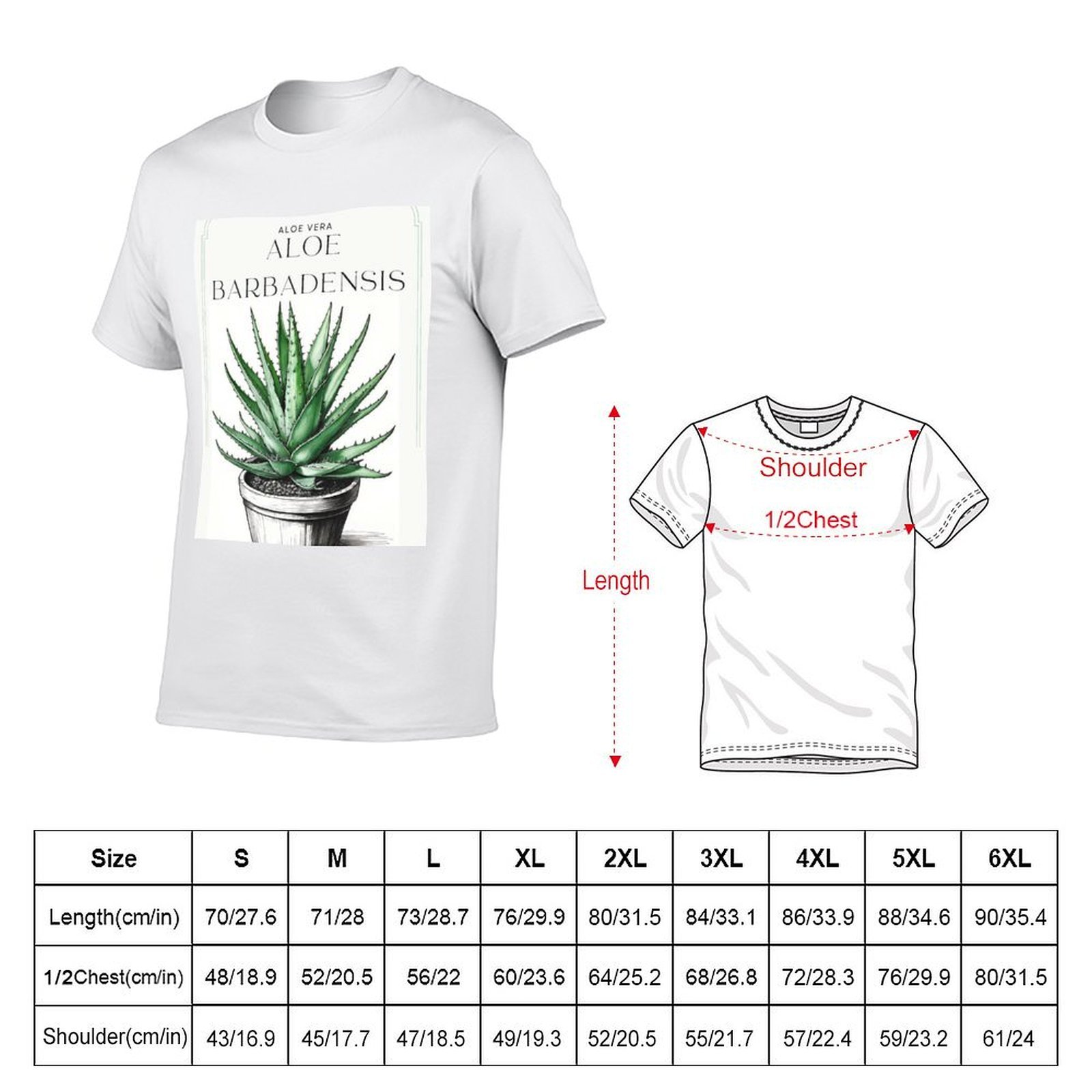 الصبار النباتي في وعاء بتصميم  - مراجعة Aloe Vera Pot وسعره