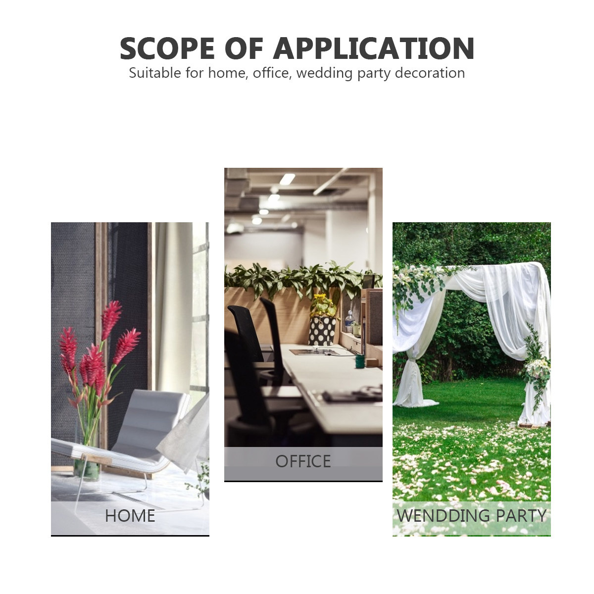 نبات زهرة الطائر الجنة الاصطنا - مراجعة Bird Paradise Strelitzia وسعره