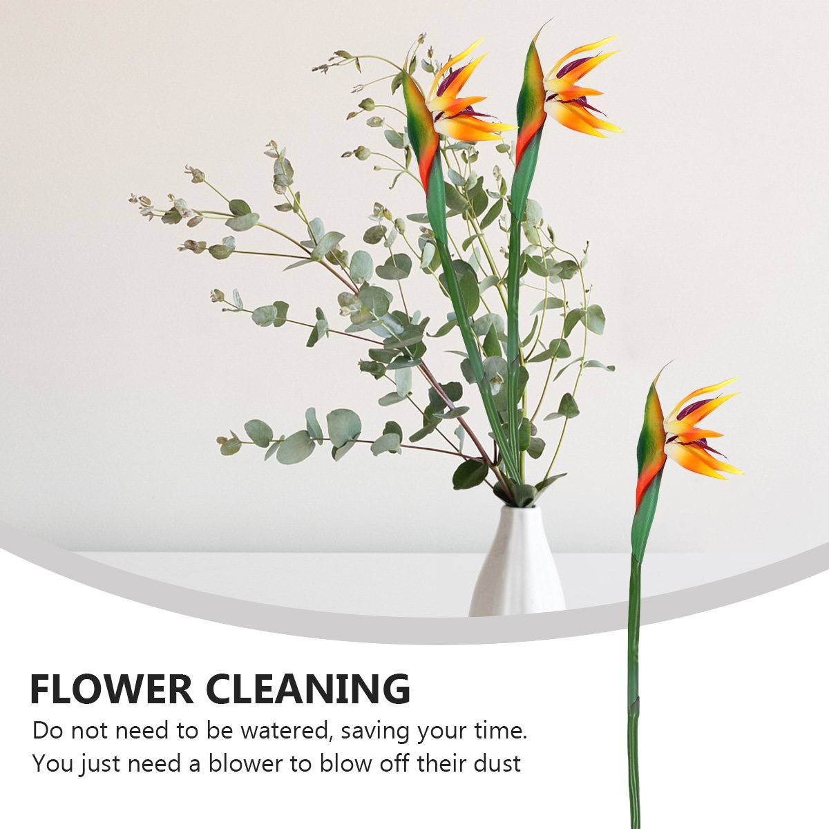 نبات زهرة الطائر الجنة الاصطنا - مراجعة Bird Paradise Strelitzia وسعره