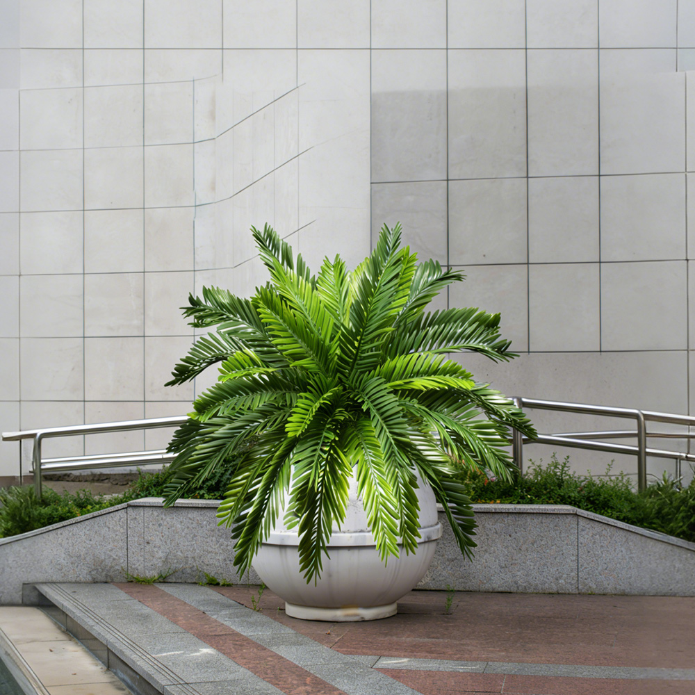 نباتات نخيل صناعية بطول 45 سم، - مراجعة Dracaena Marginata وسعره