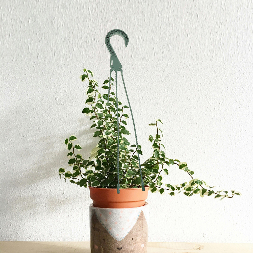 مجموعة من 5 قطع خطافات تعليق ل - مراجعة Spider Plant Hanging وسعره