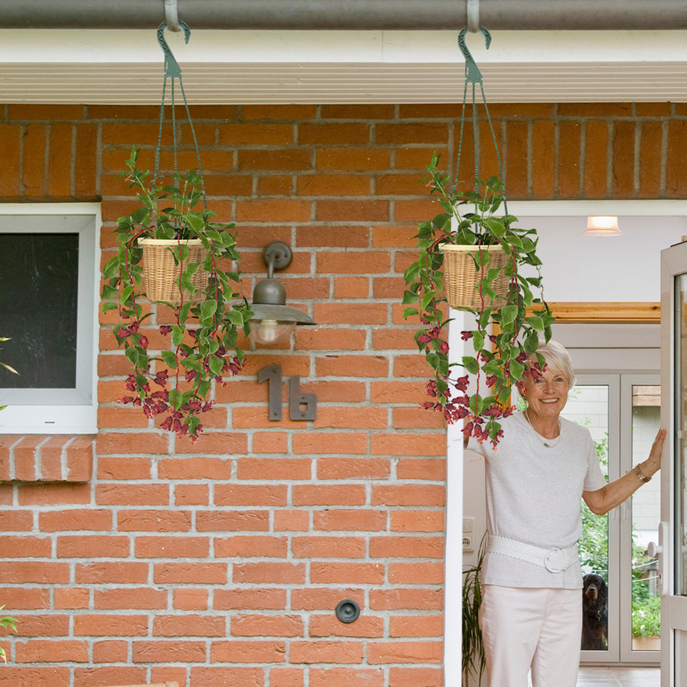 مجموعة من 5 قطع خطافات تعليق ل - مراجعة Spider Plant Hanging وسعره