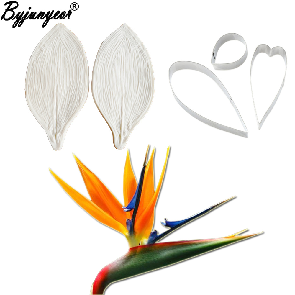 كبير gumhang Strelitzia الطيور - مراجعة Bird Paradise Strelitzia وسعره