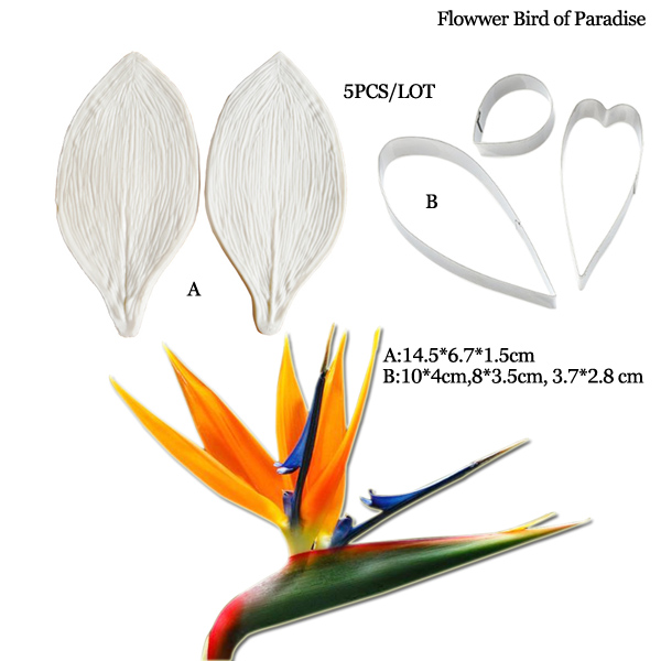 كبير gumhang Strelitzia الطيور - مراجعة Bird Paradise Strelitzia وسعره