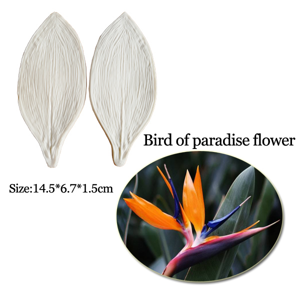 كبير gumhang Strelitzia الطيور - مراجعة Bird Paradise Strelitzia وسعره