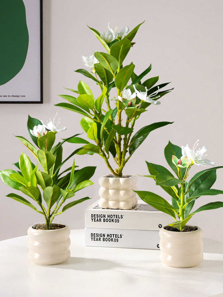 21-40 سنتيمتر نباتات الأزالياس - مراجعة Ficus Lyrata Tree وسعره