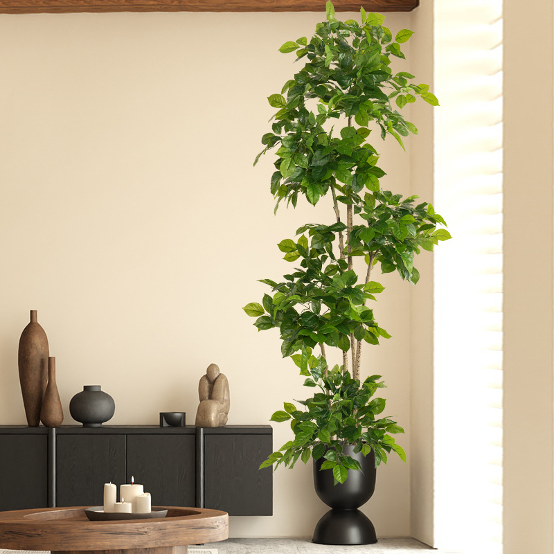 2-78in نباتات وهمية كبيرة الاص - مراجعة Ficus Lyrata Tree وسعره