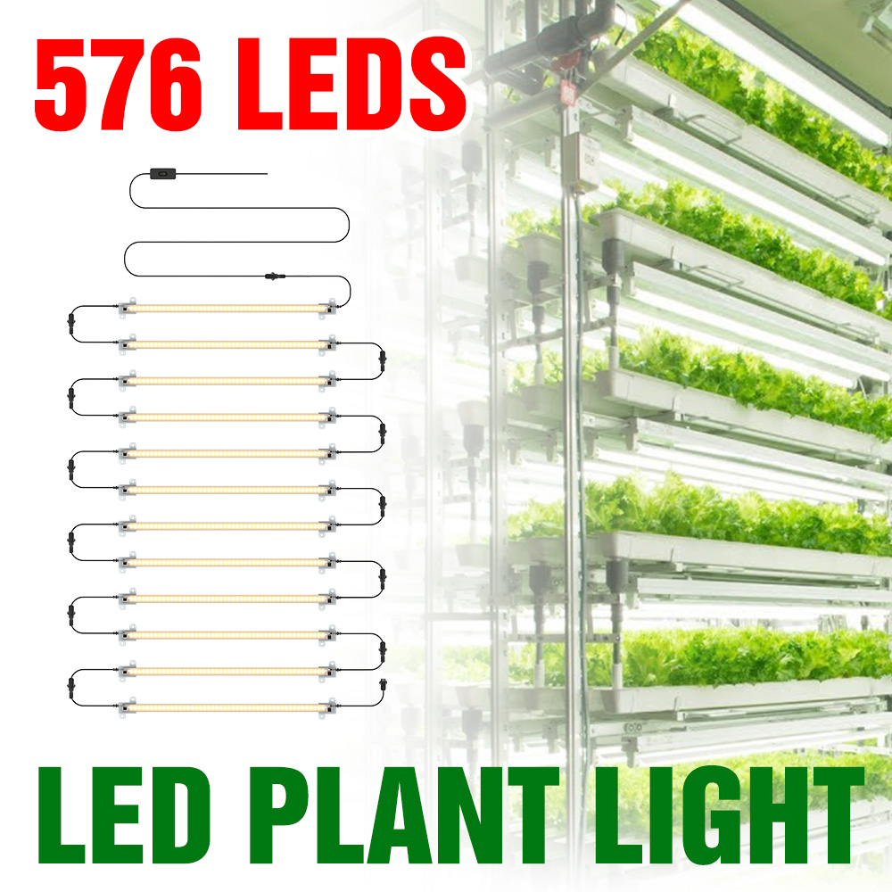 LED تنمو شرائط مصباح الطيف الك - مراجعة Echeveria Succulent وسعره
