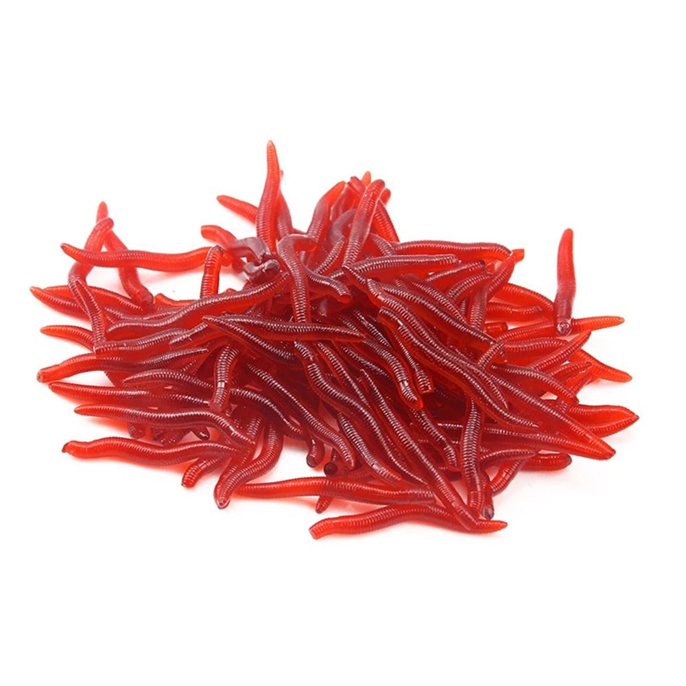 100 قطعة/زجاجة معالجة واقعية ل - مراجعة Aglaonema Red وسعره