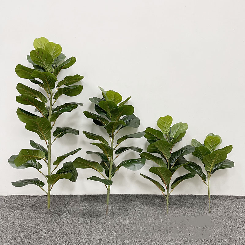 59in كبير اللبخ شجرة النباتات  - مراجعة Ficus Lyrata Tree وسعره