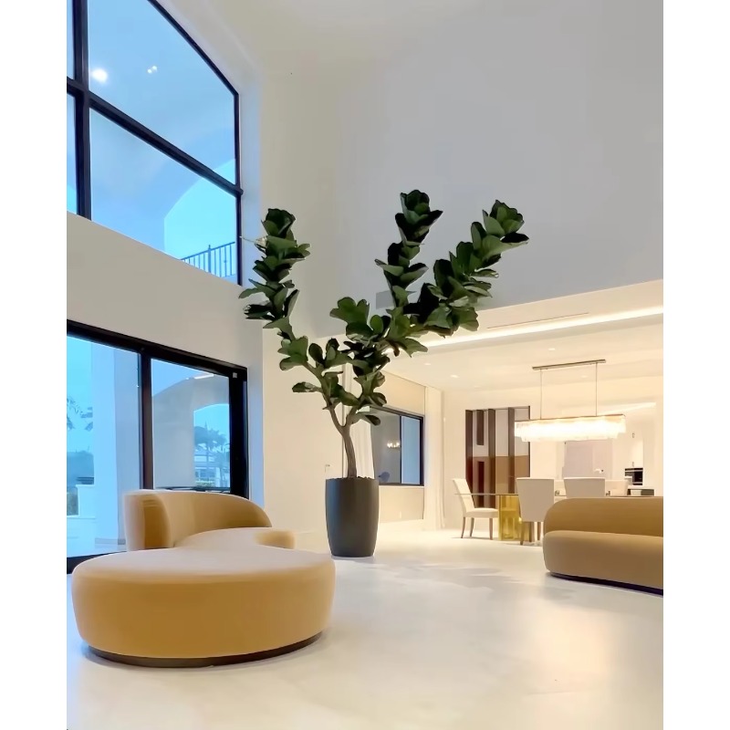 نباتات اصطناعية نباتات بوعاء د - مراجعة Ficus Lyrata Tree وسعره