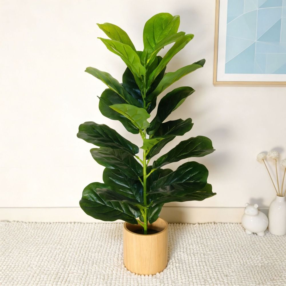 شجرة تين اصطناعية خضراء كبيرة  - مراجعة Ficus Lyrata Tree وسعره