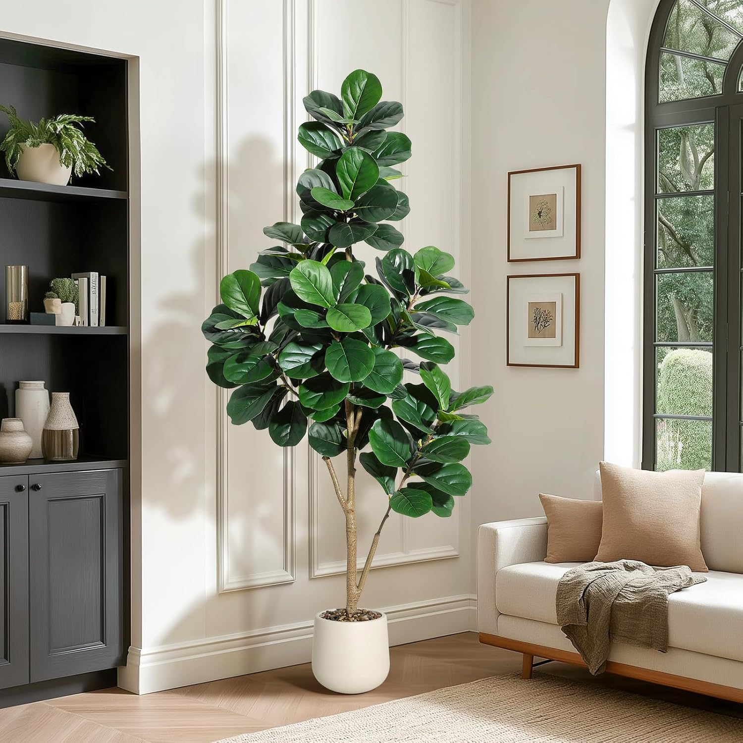 4-7 أقدام كمان ورقة شجرة التين - مراجعة Ficus Lyrata Tree وسعره