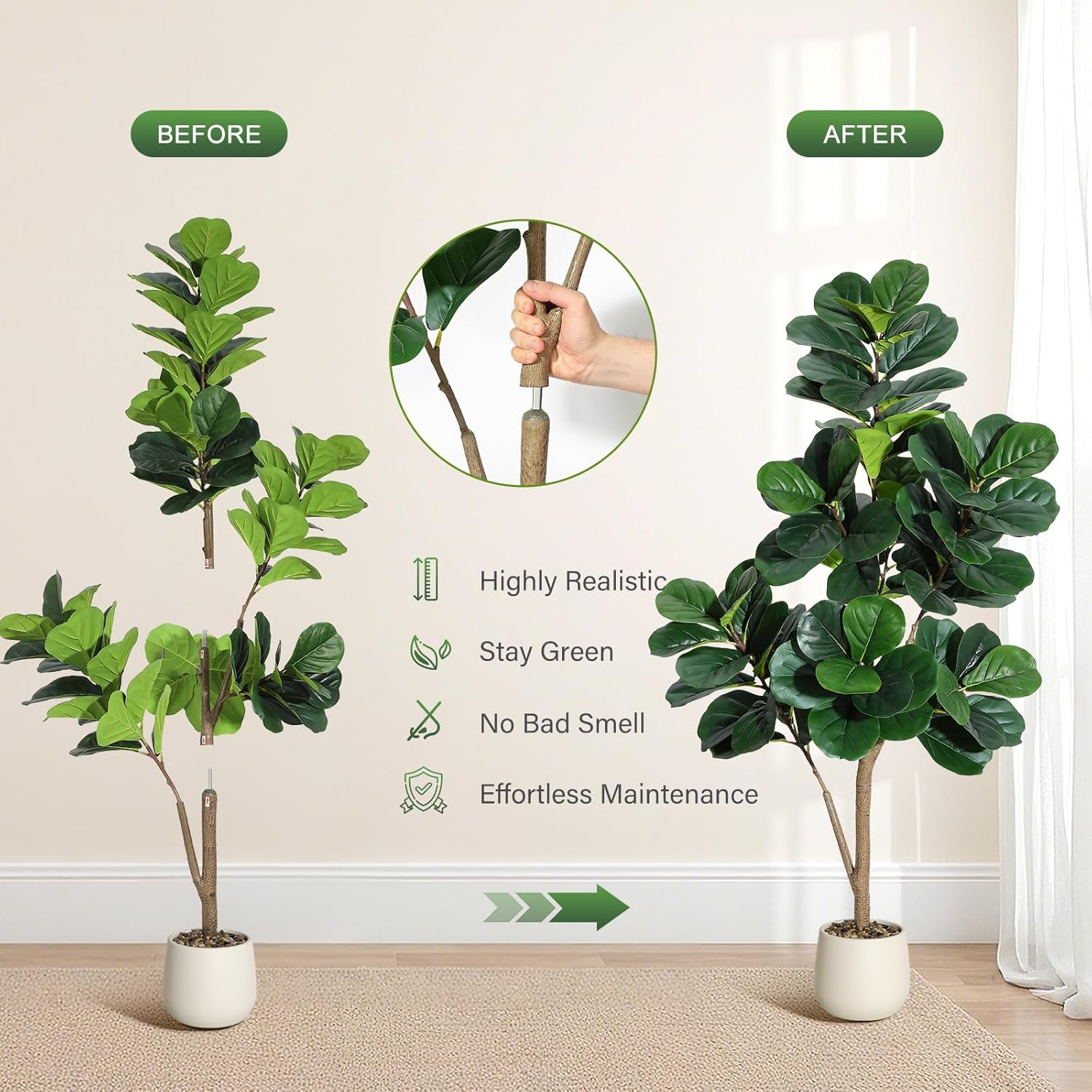 4-7 أقدام كمان ورقة شجرة التين - مراجعة Ficus Lyrata Tree وسعره