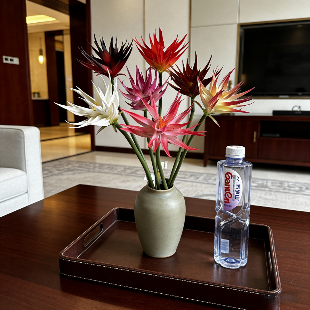 زهرة طائر الجنة الاصطناعية (1  - مراجعة Bird Paradise Strelitzia وسعره