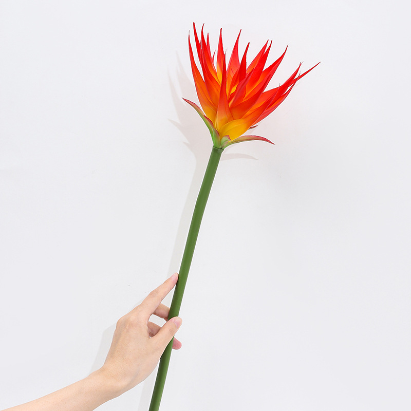 زهرة طائر الجنة الاصطناعية (1  - مراجعة Bird Paradise Strelitzia وسعره