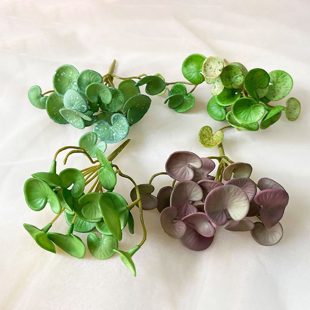 غراء ناعم نبات اصطناعي إيفا نب - مراجعة Echeveria Succulent وسعره