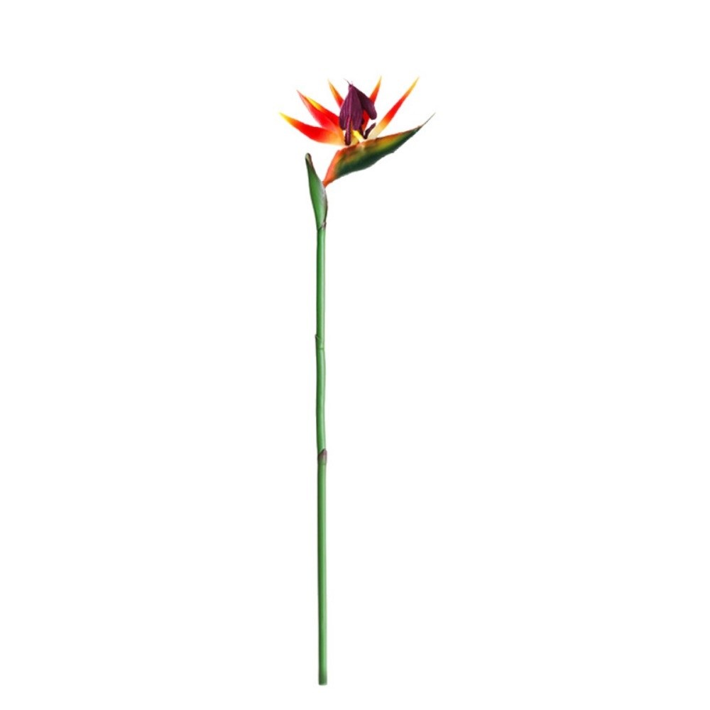 زهور طائر الجنة الاصطناعية طوي - مراجعة Bird Paradise Strelitzia وسعره