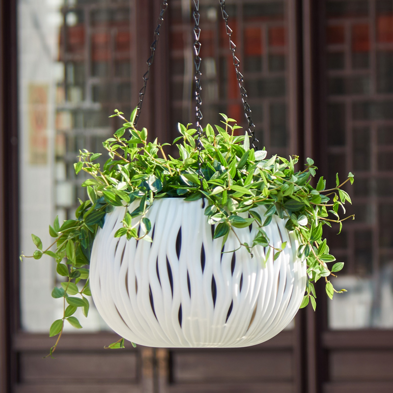 وعاء معلق، شكل شخصي من البلاست - مراجعة Spider Plant Hanging وسعره