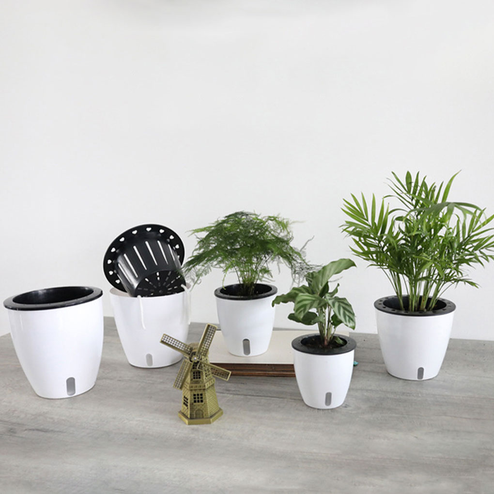 أواني نباتات بيضاء محمولة وصدي - مراجعة Aloe Vera Pot وسعره