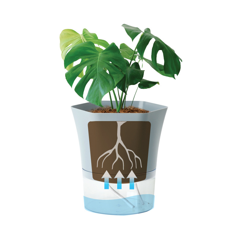 أواني نباتات ذاتية السقي من ال - مراجعة Aloe Vera Pot وسعره