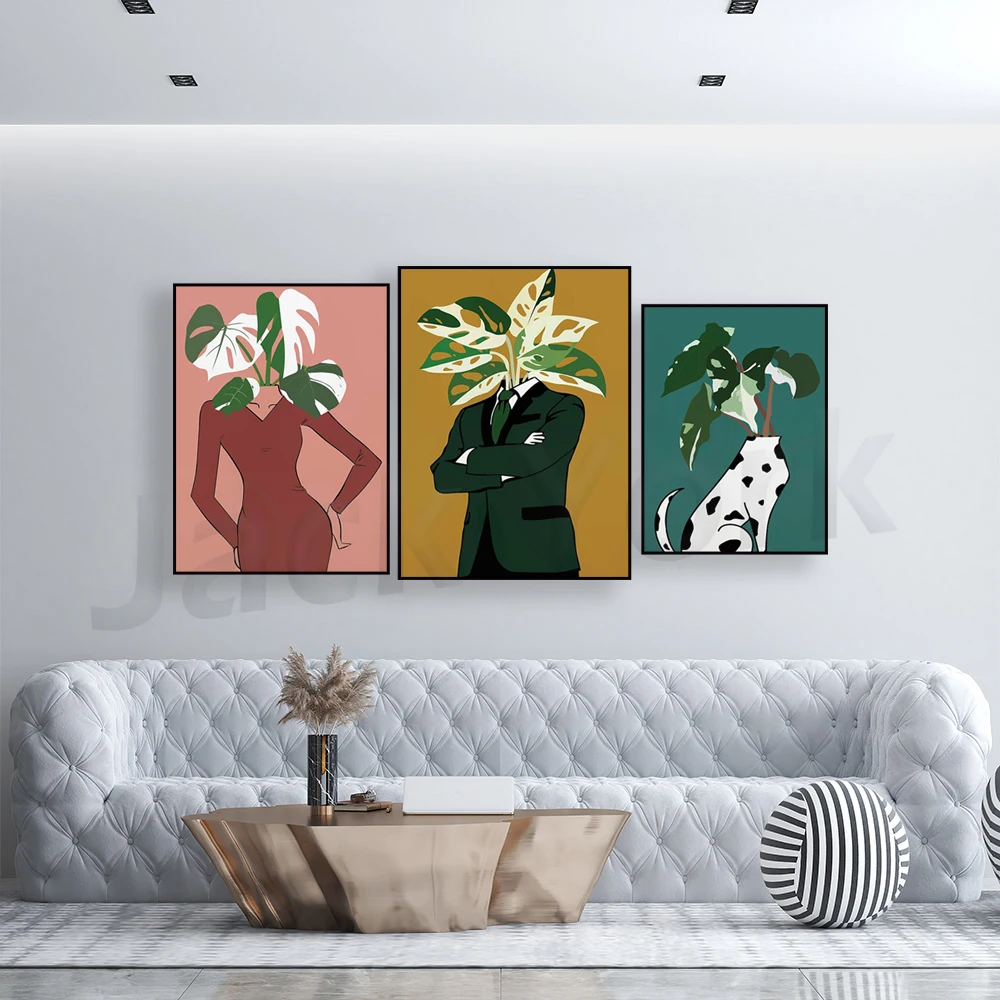 Monstera Albo في ملصق فستان بو - مراجعة Monstera Adansonii وسعره