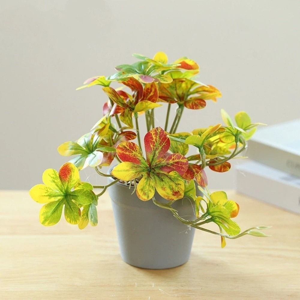 نبات بونساي اصطناعي، نبات عنكب - مراجعة Spider Plant Hanging وسعره
