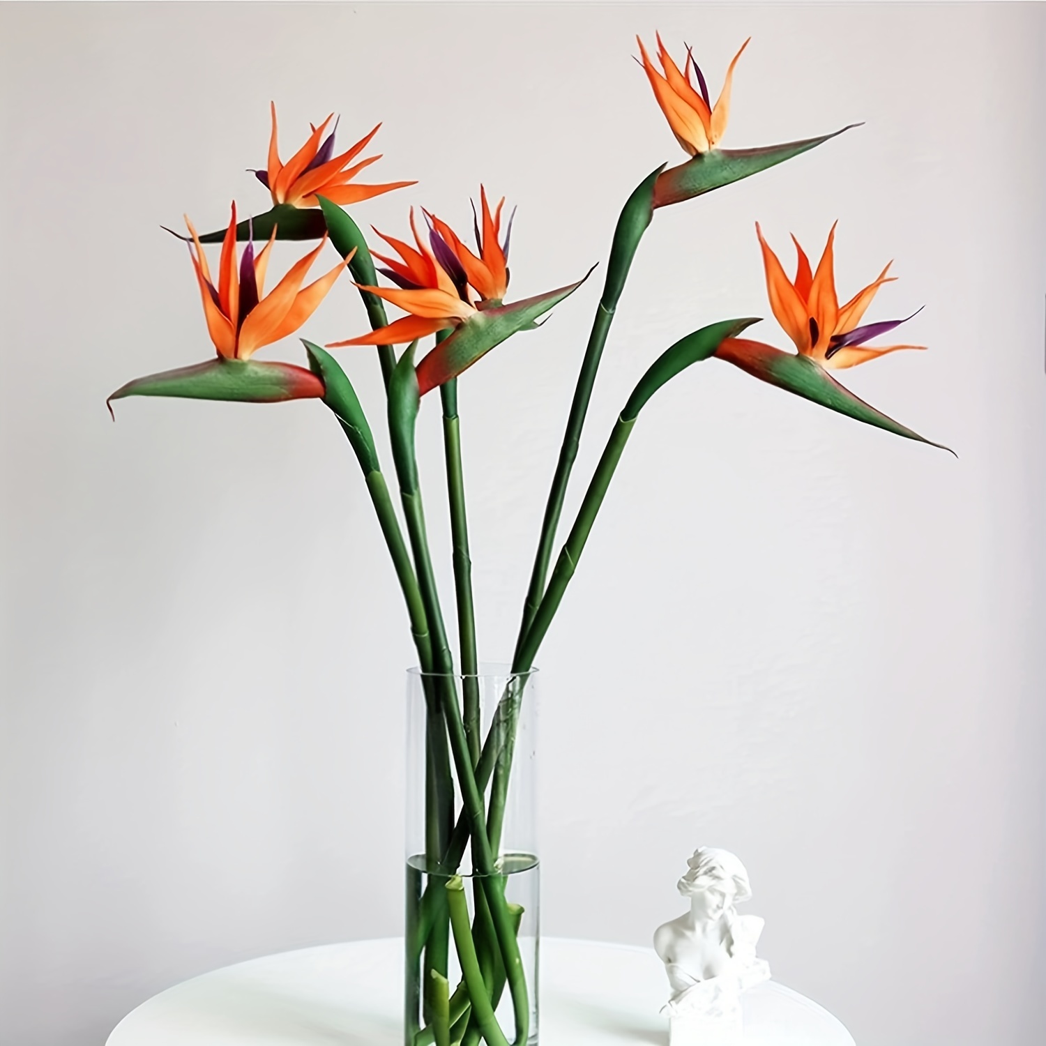 طائر صناعي من زهور الجنة ، ستر - مراجعة Bird Paradise Strelitzia وسعره
