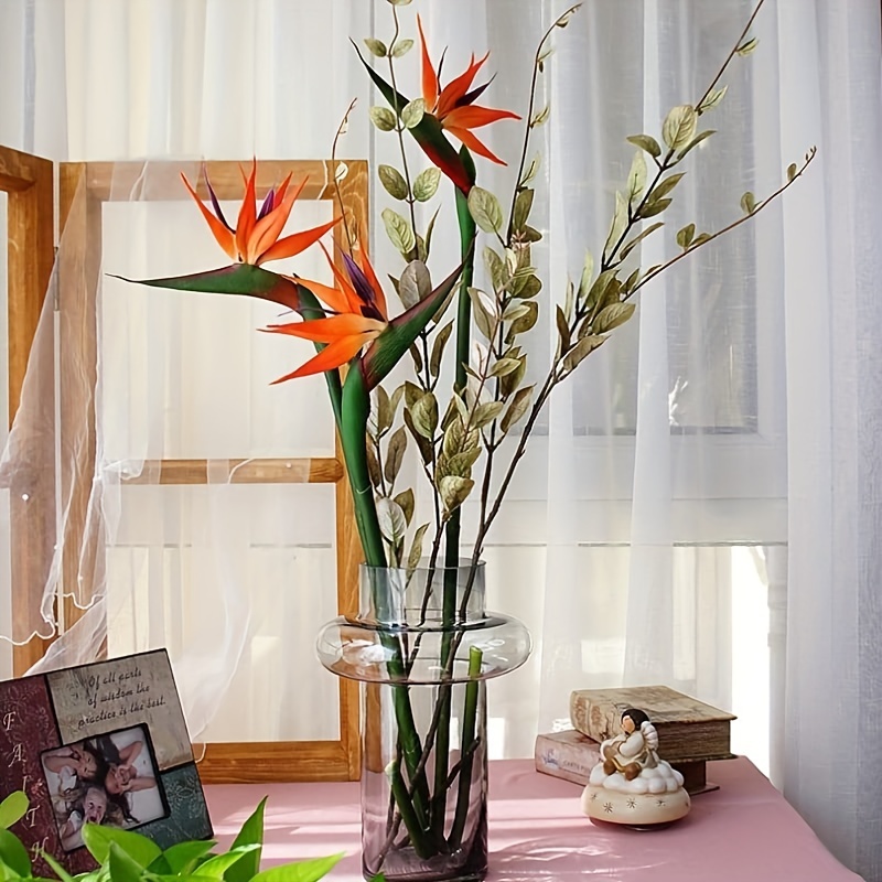 طائر صناعي من زهور الجنة ، ستر - مراجعة Bird Paradise Strelitzia وسعره