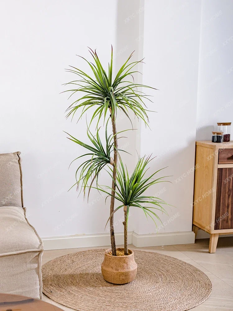 ضوء فاخر محاكاة النباتات الخضر - مراجعة Dracaena Marginata وسعره